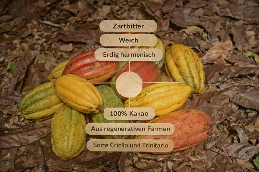 Zen Ceremonial Kakao Eigenschaften - Criollo und Trinitario Kakaomischung