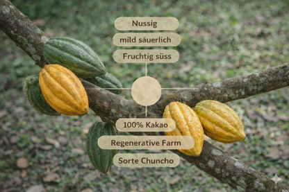 Geschmacksprofil Chuncho Kakao - Aromatische Eigenschaften